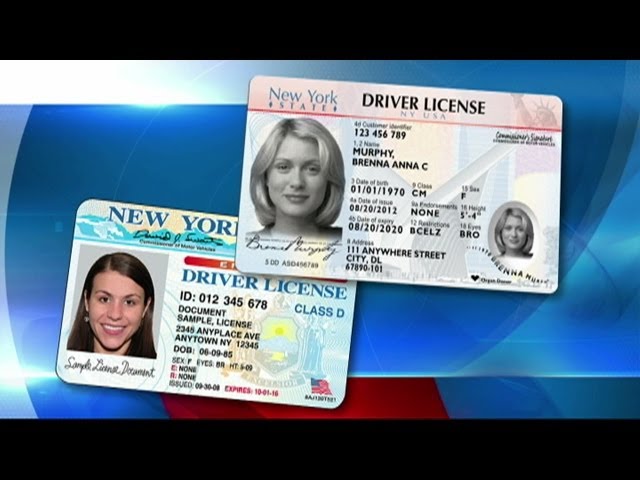 fake ny id